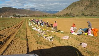 Planting Time March-April 2017/18 WORD to workers 