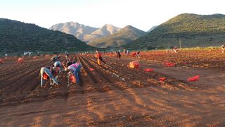 Planting time2017/18 WORD to workers